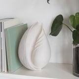 CONCH shell, large, Off-white