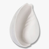 CONCH shell, large, Off-white